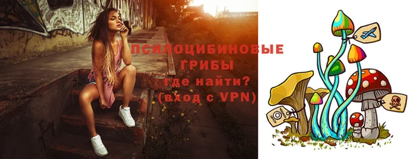 амф Барнаул