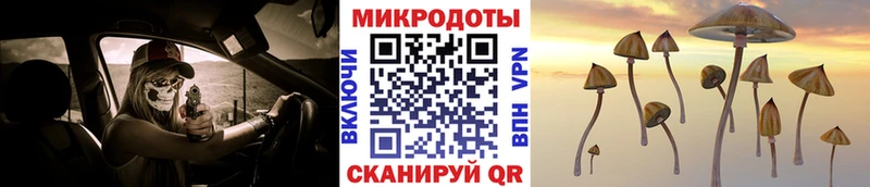 Галлюциногенные грибы Psilocybe Александровское